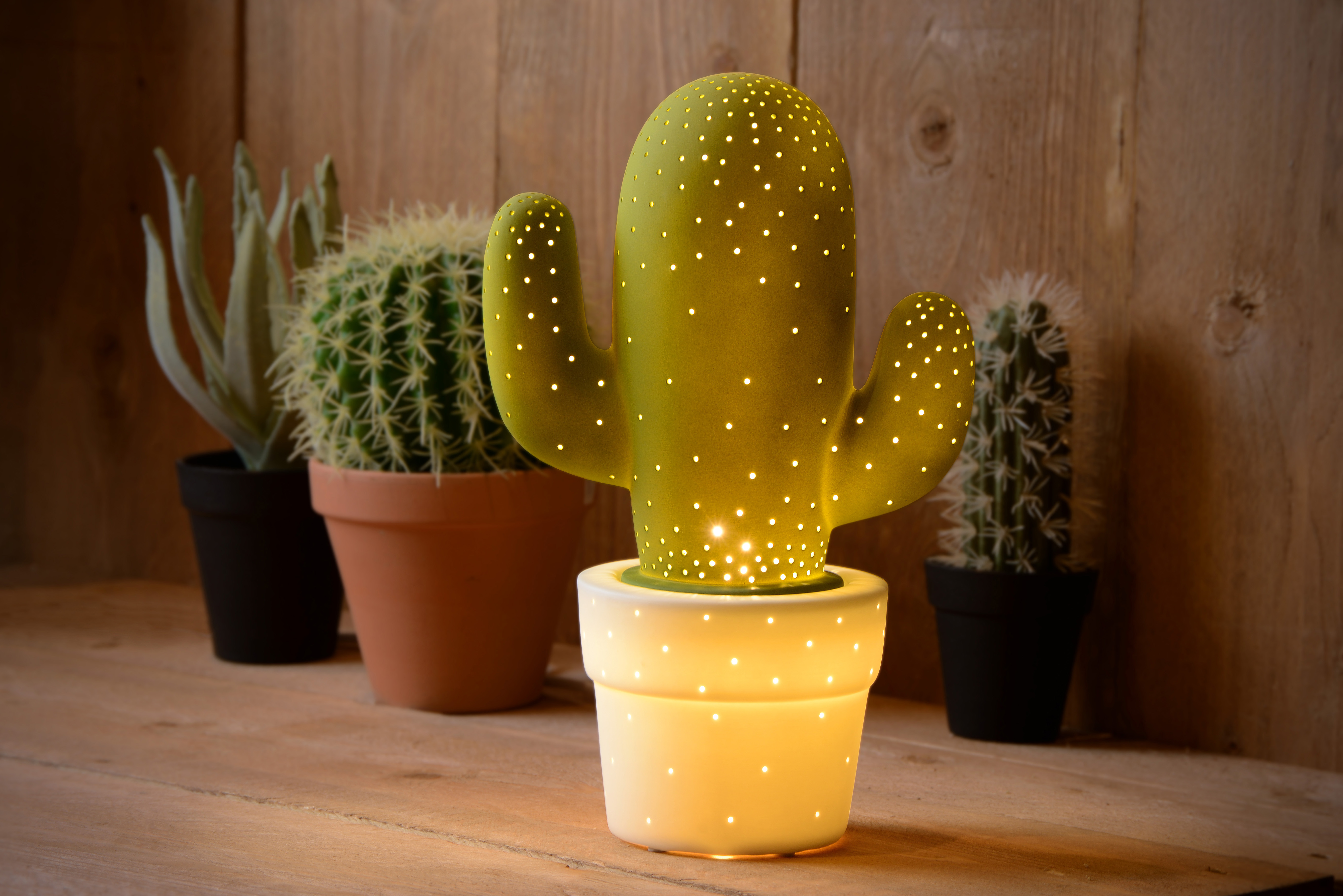 Led store cactus lamp